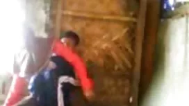 下着のお尻を取り除く禿げた男性 女性 が ...